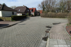 Waldstraße Norden März 8.3.2019-6
