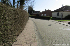 Waldstraße Norden März 8.3.2019-7