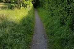 Wanderweg zwischen Parkstraße und Erfurterstraße Juni 2017-1