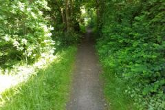 Wanderweg zwischen Parkstraße und Erfurterstraße Juni 2017-2