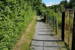 Wanderweg zwischen Parkstraße und Erfurterstraße Juni 2017-3