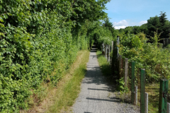Wanderweg zwischen Parkstraße und Erfurterstraße Juni 2017-4