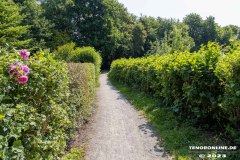 Wanderweg-zwischen-Parkstrasse-und-Erfurterstrasse-Stadt-Norden-25.6.2023-10
