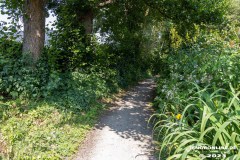 Wanderweg-zwischen-Parkstrasse-und-Erfurterstrasse-Stadt-Norden-25.6.2023-11