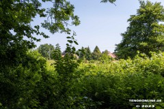 Wanderweg-zwischen-Parkstrasse-und-Erfurterstrasse-Stadt-Norden-25.6.2023-12