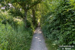 Wanderweg-zwischen-Parkstrasse-und-Erfurterstrasse-Stadt-Norden-25.6.2023-13