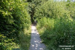 Wanderweg-zwischen-Parkstrasse-und-Erfurterstrasse-Stadt-Norden-25.6.2023-14