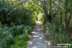 Wanderweg-zwischen-Parkstrasse-und-Erfurterstrasse-Stadt-Norden-25.6.2023-16