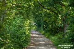 Wanderweg-zwischen-Parkstrasse-und-Erfurterstrasse-Stadt-Norden-25.6.2023-18
