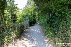 Wanderweg-zwischen-Parkstrasse-und-Erfurterstrasse-Stadt-Norden-25.6.2023-2