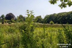 Wanderweg-zwischen-Parkstrasse-und-Erfurterstrasse-Stadt-Norden-25.6.2023-26