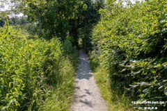 Wanderweg-zwischen-Parkstrasse-und-Erfurterstrasse-Stadt-Norden-25.6.2023-27