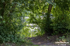 Wanderweg-zwischen-Parkstrasse-und-Erfurterstrasse-Stadt-Norden-25.6.2023-28