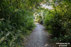 Wanderweg-zwischen-Parkstrasse-und-Erfurterstrasse-Stadt-Norden-25.6.2023-29