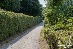 Wanderweg-zwischen-Parkstrasse-und-Erfurterstrasse-Stadt-Norden-25.6.2023-3
