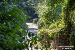 Wanderweg-zwischen-Parkstrasse-und-Erfurterstrasse-Stadt-Norden-25.6.2023-30