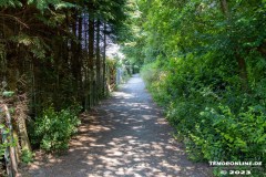 Wanderweg-zwischen-Parkstrasse-und-Erfurterstrasse-Stadt-Norden-25.6.2023-4