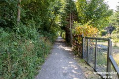 Wanderweg-zwischen-Parkstrasse-und-Erfurterstrasse-Stadt-Norden-25.6.2023-5