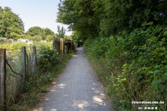 Wanderweg-zwischen-Parkstrasse-und-Erfurterstrasse-Stadt-Norden-25.6.2023-6