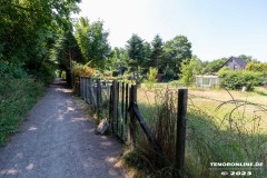 Wanderweg-zwischen-Parkstrasse-und-Erfurterstrasse-Ultraweitwinkel-25.6.2023-3