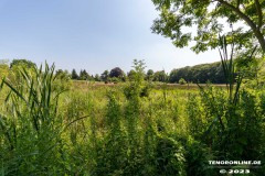 Wanderweg-zwischen-Parkstrasse-und-Erfurterstrasse-Ultraweitwinkel-25.6.2023-5