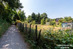 Wanderweg-zwischen-Parkstrasse-und-Erfurterstrasse-Ultraweitwinkel-25.6.2023-6