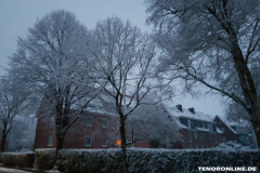 Warfenweg Februar 2019-2