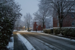 Warfenweg Februar 2019-6