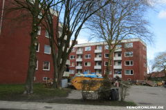 Warfenweg  Norden 17.3.2019-9
