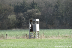Jäger Hochsitz Wester Wischer Norden 17.3.2019-29