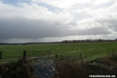 Wester Wischer Norden 17.3.2019-10