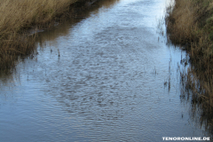 Wester Wischer Norden 17.3.2019-2