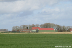 Wester Wischer Norden 17.3.2019-32