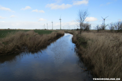 Wester Wischer Norden 17.3.2019