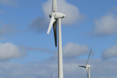 Windmühle Wester Wischer Norden 17.3.2019-13
