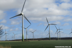 Windmühlen Wester Wischer Norden 17.3.2019-14