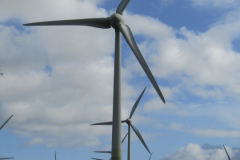 Windmühlen Wester Wischer Norden 17.3.2019-18