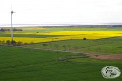 Westermarsch_-3