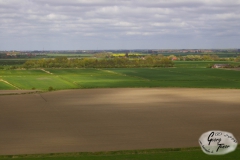 Westermarsch_-6