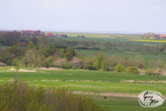 Westermarsch_-8