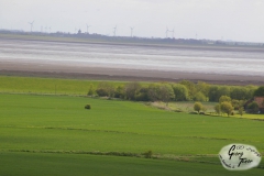 Westermarsch_