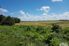 Westermarsch