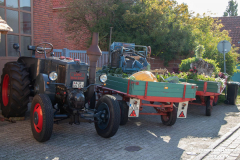 Tag-der-Regionen-Westerstraßenfest-Norden-2019-24