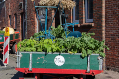 Tag-der-Regionen-Westerstraßenfest-Norden-2019-50
