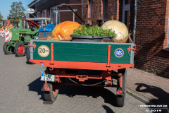 Tag-der-Regionen-Westerstraßenfest-Norden-2019-51