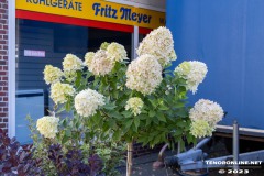 Westerstrassenfest-Tag-der-Regionen-Westerstrasse-Stadt-Norden-16.9.2023-36