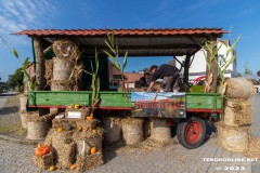 Westerstrassenfest-Tag-der-Regionen-Westerstrasse-Stadt-Norden-UW-16.9.2023-22