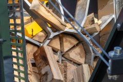 Westerstrassenfest-20.9.2025-47