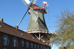 Westgaster Mühle Alleestraße Norden 15.2.2019-11