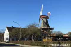 Westgaster Mühle Alleestraße Norden 15.2.2019-12